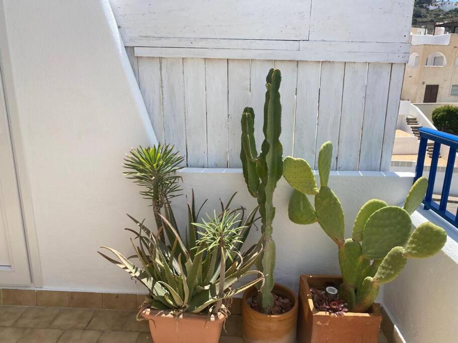 דירות סן חוזה Galeria Tres Pinos מראה חיצוני תמונה